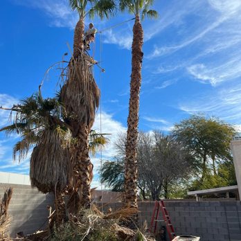 J Ramirez Tree Services - Tree Services Near Me