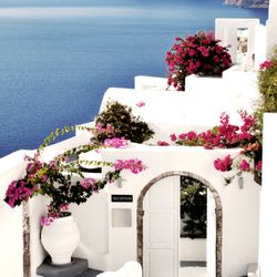 Walgreens - Santorini water