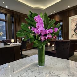 B'z Blooms