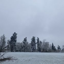 Meadow Park - 1/16/24 winter ice storm