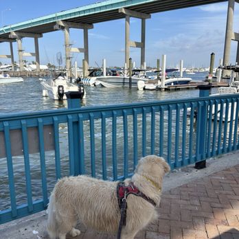 Nervous Nellie's - Right under the bridge - Seafood Near Me - Fort Myers Beach, Florida Nervous Nellie's - Right under the bridge - Seafood Near Me - Fort Myers Beach, Florida