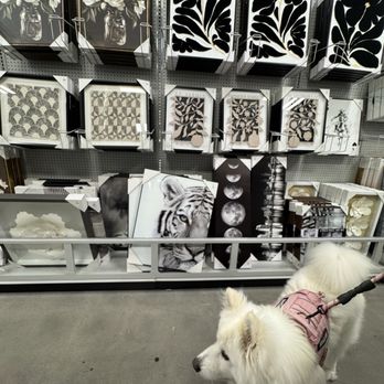 At Home - Coco loves it here - Home Decor Near Me - Temecula, California