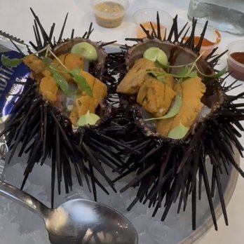 Holbox - Sea Urchin - Latin American Near Me - Los Angeles, California