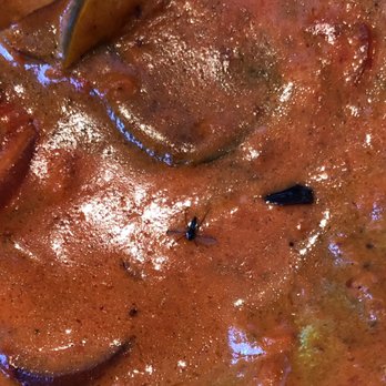 Himalayan Kitchen - Delhi masala momos - Indian Near Me - Toronto, Ontario