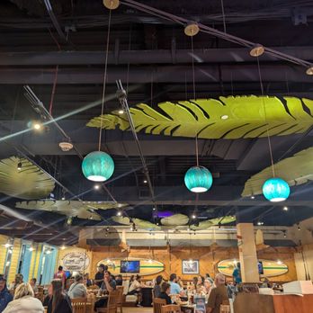 Margaritaville - Mall of America - Cocktail Bars Near Me - Bloomington, Minnesota