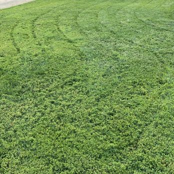 L & V Lawn Care - Lawn Services Near Me L & V Lawn Care - Lawn Services Near Me