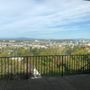 Photo of Martindale Estate Sales