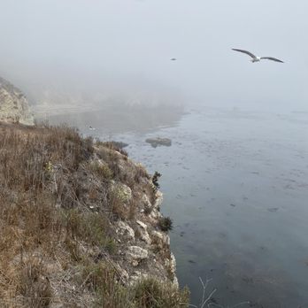 Dinosaur Caves Park - Parks Near Me - Pismo Beach, California