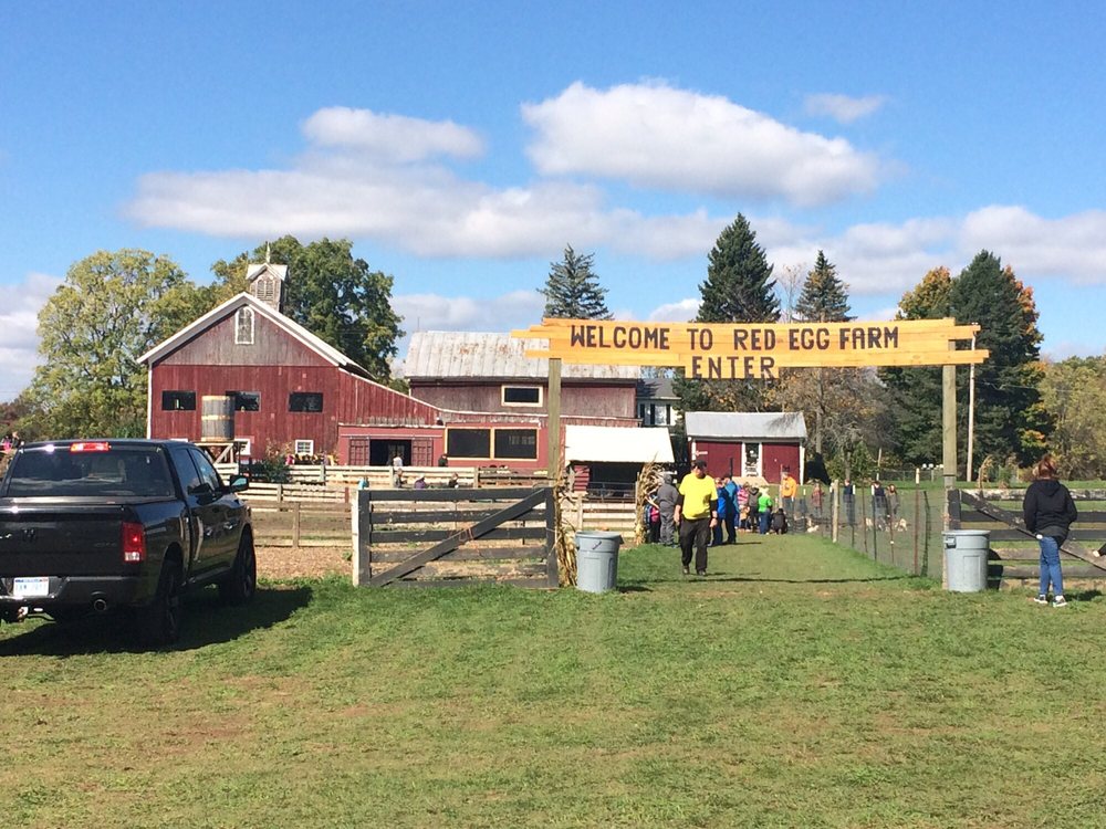 RED EGG FARM Updated August 2024 9123 Spring Arbor Rd, Spring Arbor