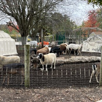 Aikman Wildlife Adventure - Petting zoo - Parks Near Me - Arcola, Illinois Aikman Wildlife Adventure - Petting zoo - Parks Near Me - Arcola, Illinois