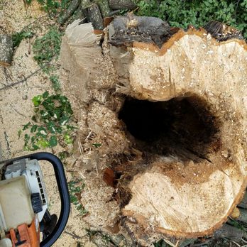 Tree King Tree Experts - Tree Services Near Me Tree King Tree Experts - Tree Services Near Me