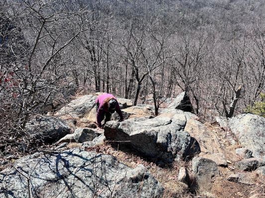 Harriman State Park by null