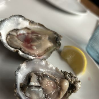 Elite All Star Dinner: Blue Anchor - East and west coast oysters - Yelp Events Near Me - Jersey City, New Jersey
