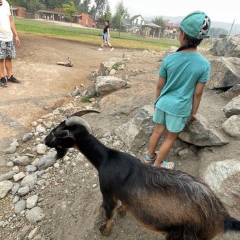Kangaroo Creek Farm - Zoos Near Me - Kelowna, British Columbia Kangaroo Creek Farm - Zoos Near Me - Kelowna, British Columbia