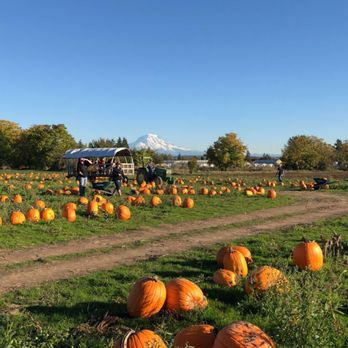 Picha Farms - Specialty Food Near Me - Puyallup, Washington