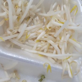 Golden Chopstix - Bean sprouts growing roots some were green - Chinese Near Me - Riverbank, California Golden Chopstix - Bean sprouts growing roots some were green - Chinese Near Me - Riverbank, California
