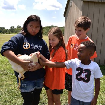 The Journey School - TJS raises chickens as part of the upper school curriculum. - Montessori Schools Near Me - Spencerville, Maryland The Journey School - TJS raises chickens as part of the upper school curriculum. - Montessori Schools Near Me - Spencerville, Maryland