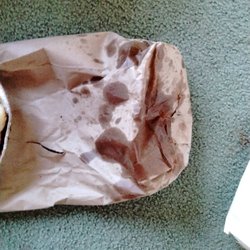 The bag the garlic knots came in