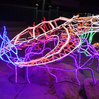 River Of Lights - Festivals Near Me - Albuquerque, New Mexico
