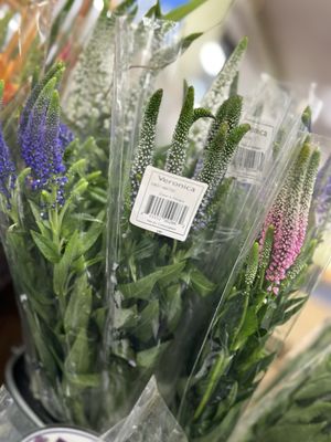 Trader Joe's by null