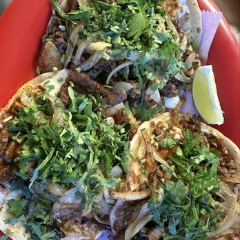 Tacos Toreados - Tacos Toreados with fajita and pastor. These things are massive - Mexican Near Me - Pearland, Texas Tacos Toreados - Tacos Toreados with fajita and pastor. These things are massive - Mexican Near Me - Pearland, Texas