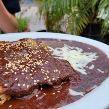 Vive Sol - a plate of enchiladas and rice - Mexican Near Me - Mountain View, California Vive Sol - a plate of enchiladas and rice - Mexican Near Me - Mountain View, California