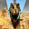Western Science Center gift card