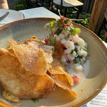 19 Raw - Halibut ceviche and more delicious chips - Seafood Near Me - Edgartown, Massachusetts