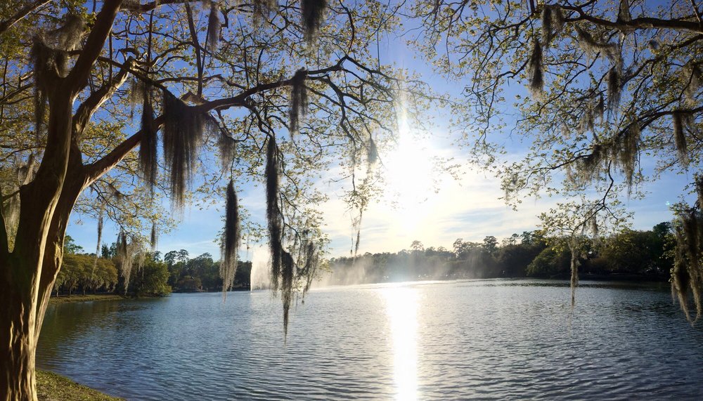 LAKE ELLA PARK 110 Photos & 44 Reviews Parks N Monroe And S Lake