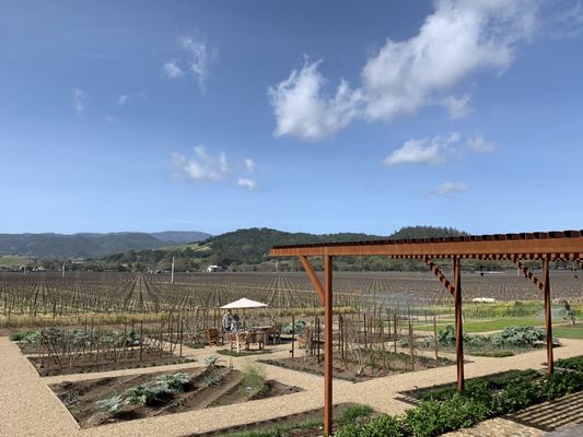 Regusci Winery by null