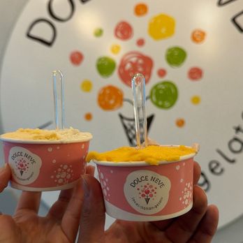 Dolce Neve - Small cups (comes with two flavors) - Gelato Near Me - Austin, Texas