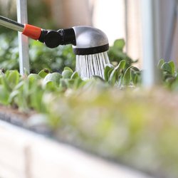 Nate's Nursery - Nate's Nursery teaches how to water your plants without killing them.