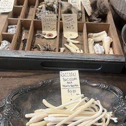 Raccoon penis bones and selection of feet