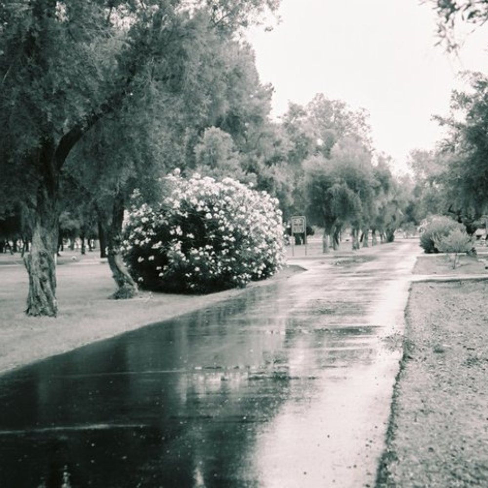 Double Butte Cemetery - Funeral Services & Cemeteries Near Me - Tempe, Arizona