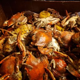 Illegal crabs sold to the public