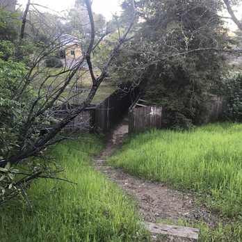 Dinosaur Hill Park - Parks Near Me - Pleasant Hill, California