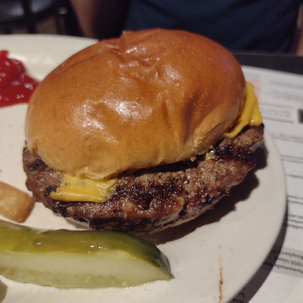 Winking Lizard - Plain cheeseburger - not great - Burgers Near Me - Akron, Ohio Winking Lizard - Plain cheeseburger - not great - Burgers Near Me - Akron, Ohio