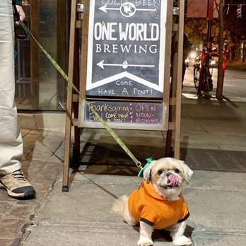 One World Brewing - Breweries Near Me - Asheville, North Carolina