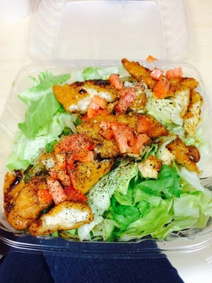 Tamiami Subs by null
