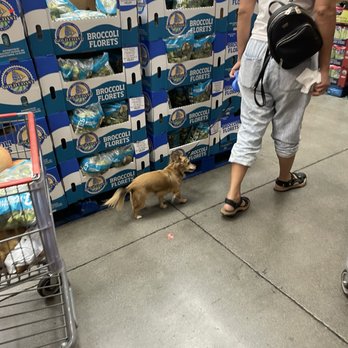 Costco - Unsanitary - Wholesale Stores Near Me - Las Vegas, Nevada Costco - Unsanitary - Wholesale Stores Near Me - Las Vegas, Nevada