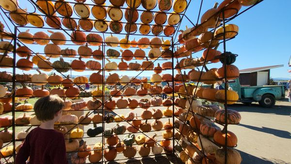 Hoffman Farms Store by null