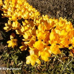 Gartenheim Am Lehngericht
