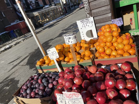 Bloor Fruit Market by null