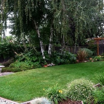 Yard Techs - Landscaping Near Me Yard Techs - Landscaping Near Me