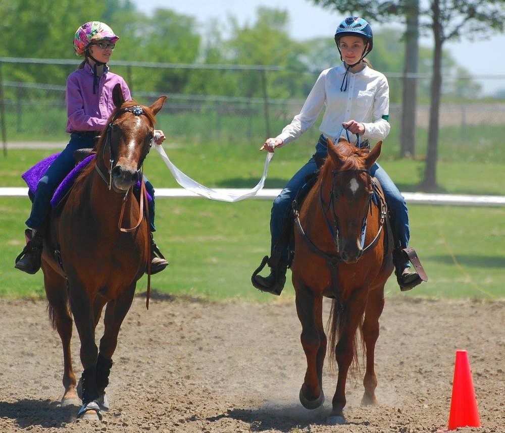 Horses of Course Riding School - equestrian in Blue Grass, IA