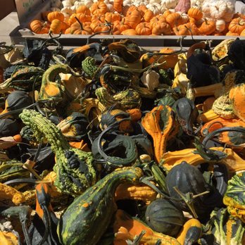Davis Ranch, LLC - Fruits & Veggies Near Me - Sloughhouse, California Davis Ranch, LLC - Fruits & Veggies Near Me - Sloughhouse, California