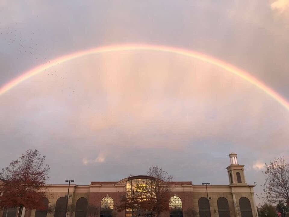 Best Buy Madison MS Shopping Experience