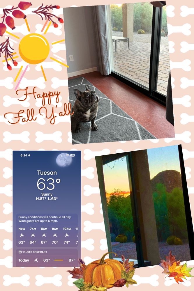 City of South Tucson - social services organization in Tucson, AZ