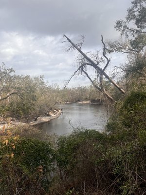Suwannee River State Park by null