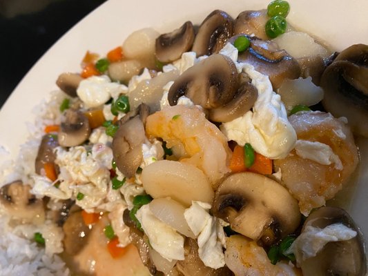 Bamboo Garden by null